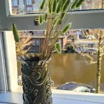 Casa de Férias Joyjoyjoy The Palm Ecolicious In A In Historic Canalhouse From 1729 With View On The Canals *
