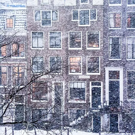 Joyjoyjoy The Palm Ecolicious In A In Historic Canalhouse From 1729 With View On The Canals * Amsterdam