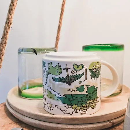 Vakantiehuis Joyjoyjoy The Palm Ecolicious In A In Historic Canalhouse From 1729 With View On The Canals Amsterdam