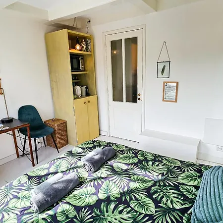 Joyjoyjoy The Palm Ecolicious In A In Historic Canalhouse From 1729 With View On The Canals Feriehus *