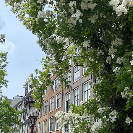 Сasa de vacaciones Joyjoyjoy The Palm Ecolicious In A In Historic Canalhouse From 1729 With View On The Canals Ámsterdam