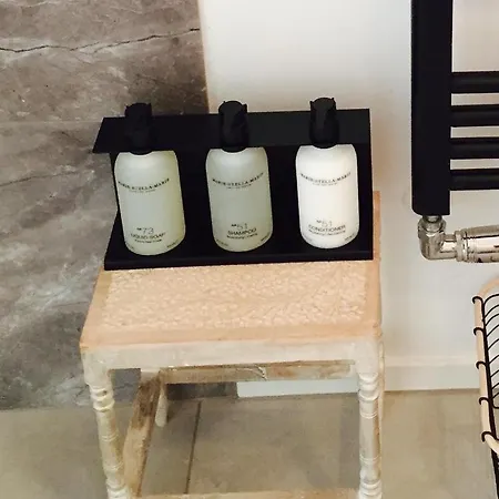 Joyjoyjoy The Palm Ecolicious In A In Historic Canalhouse From 1729 With View On The Canals Amsterdam