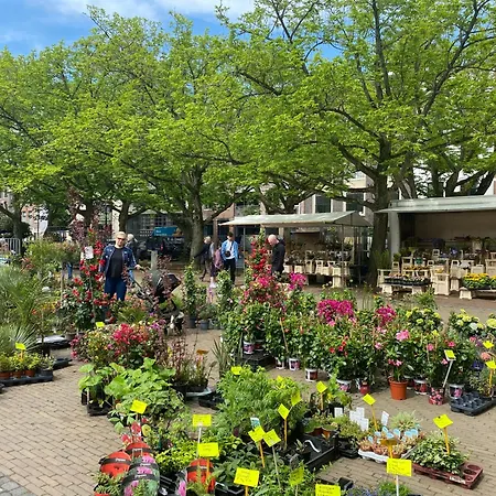 Vakantiehuis Joyjoyjoy The Palm Ecolicious In A In Historic Canalhouse From 1729 With View On The Canals