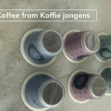 Vakantiehuis Joyjoyjoy The Palm Ecolicious In A In Historic Canalhouse From 1729 With View On The Canals *