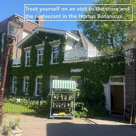 Joyjoyjoy The Palm Ecolicious In A In Historic Canalhouse From 1729 With View On The Canals *