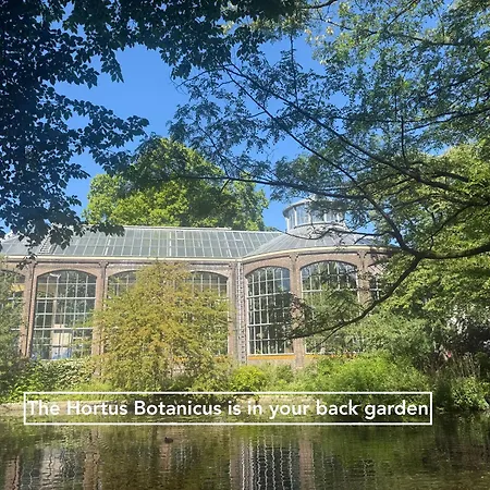 Joyjoyjoy The Palm Ecolicious In A In Historic Canalhouse From 1729 With View On The Canals Ámsterdam