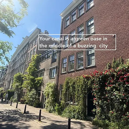 Joyjoyjoy The Palm Ecolicious In A In Historic Canalhouse From 1729 With View On The Canals Vakantiehuis *