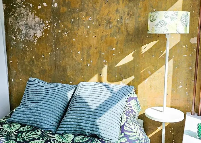 Joyjoyjoy The Palm Ecolicious In A In Historic Canalhouse From 1729 With View On The Canals Амстердам