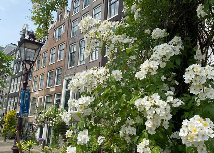 Joyjoyjoy The Palm Ecolicious In A In Historic Canalhouse From 1729 With View On The Canals Дом отдыха Амстердам