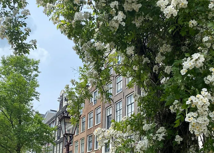 Дом отдыха Joyjoyjoy The Palm Ecolicious In A In Historic Canalhouse From 1729 With View On The Canals Амстердам