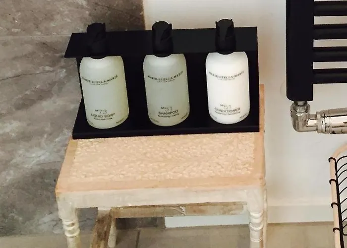 Joyjoyjoy The Palm Ecolicious In A In Historic Canalhouse From 1729 With View On The Canals Амстердам