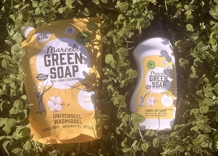 Joyjoyjoy The Palm Ecolicious In A In Historic Canalhouse From 1729 With View On The Canals * Амстердам