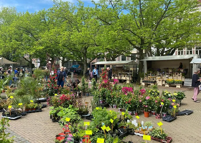 Дом отдыха Joyjoyjoy The Palm Ecolicious In A In Historic Canalhouse From 1729 With View On The Canals