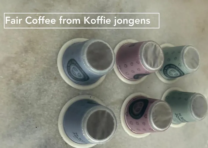 Дом отдыха Joyjoyjoy The Palm Ecolicious In A In Historic Canalhouse From 1729 With View On The Canals *