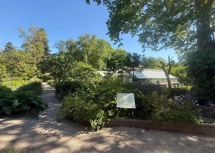 Joyjoyjoy The Palm Ecolicious In A In Historic Canalhouse From 1729 With View On The Canals Дом отдыха Амстердам