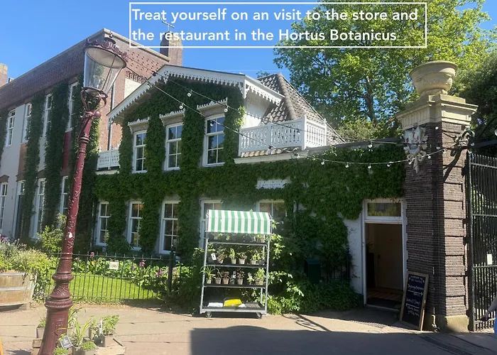 Joyjoyjoy The Palm Ecolicious In A In Historic Canalhouse From 1729 With View On The Canals *