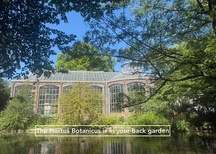 Joyjoyjoy The Palm Ecolicious In A In Historic Canalhouse From 1729 With View On The Canals Амстердам