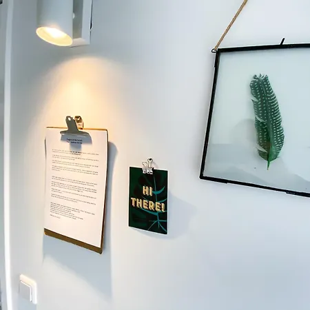 Joyjoyjoy The Palm Ecolicious In A In Historic Canalhouse From 1729 With View On The Canals Vakantiehuis Amsterdam