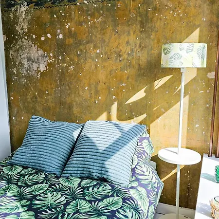 Joyjoyjoy The Palm Ecolicious In A In Historic Canalhouse From 1729 With View On The Canals Amsterdam