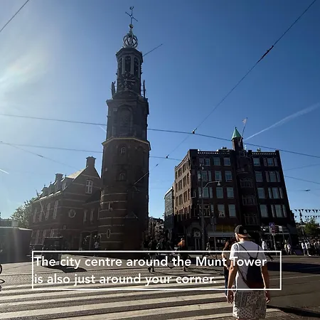 Vakantiehuis Joyjoyjoy The Palm Ecolicious In A In Historic Canalhouse From 1729 With View On The Canals *