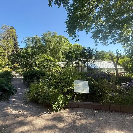 Joyjoyjoy The Palm Ecolicious In A In Historic Canalhouse From 1729 With View On The Canals Vakantiehuis Amsterdam