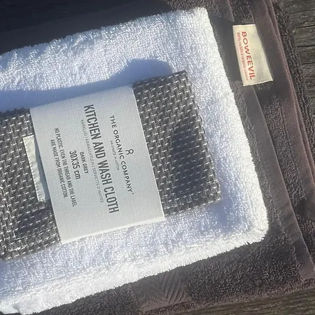 Joyjoyjoy The Palm Ecolicious In A In Historic Canalhouse From 1729 With View On The Canals *