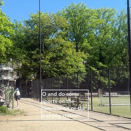 Joyjoyjoy The Palm Ecolicious In A In Historic Canalhouse From 1729 With View On The Canals