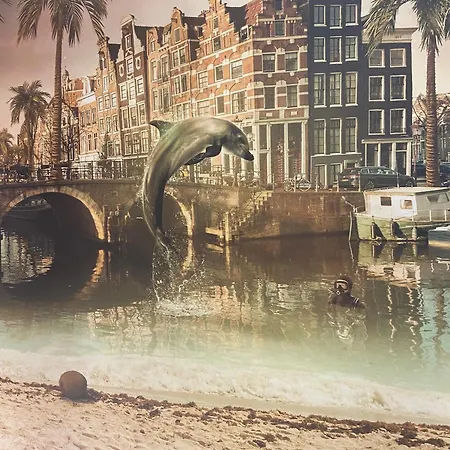 Dom wakacyjny Joyjoyjoy The Palm Ecolicious In A In Historic Canalhouse From 1729 With View On The Canals *