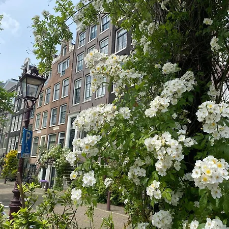 Joyjoyjoy The Palm Ecolicious In A In Historic Canalhouse From 1729 With View On The Canals Dom wakacyjny Amsterdam