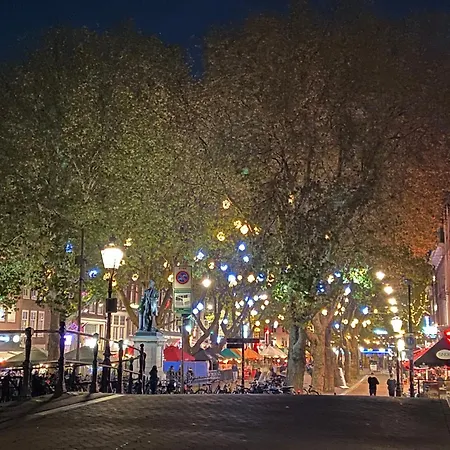 Joyjoyjoy The Palm Ecolicious In A In Historic Canalhouse From 1729 With View On The Canals Dom wakacyjny Amsterdam